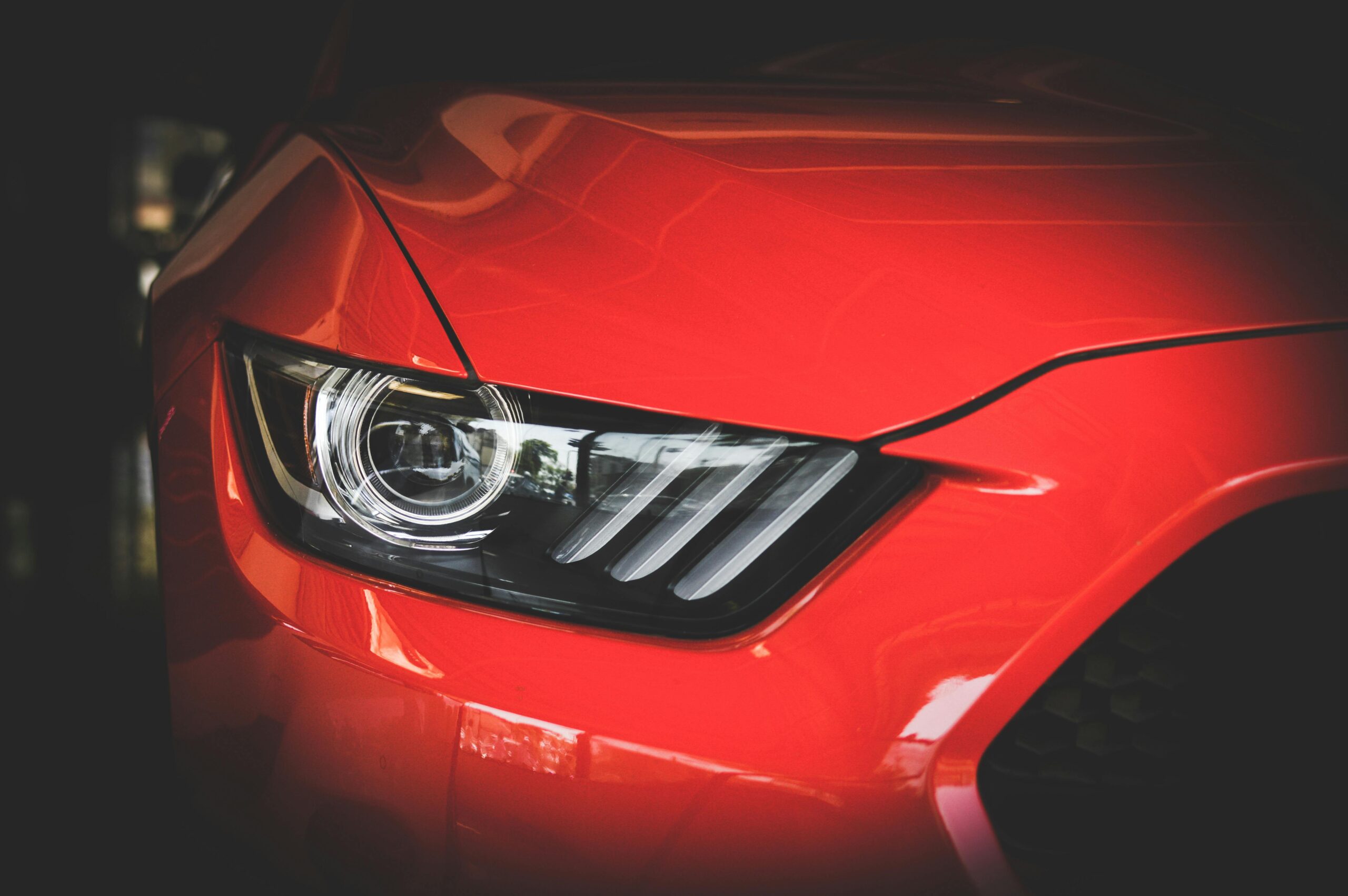 byd sealion 7 india